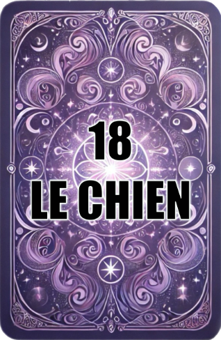 carte le chien