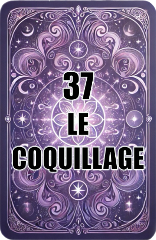 carte le COQUILLAGE